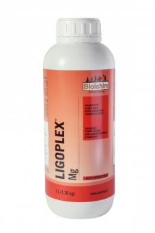   ЛИГОПЛЕКС Mg 10.8%